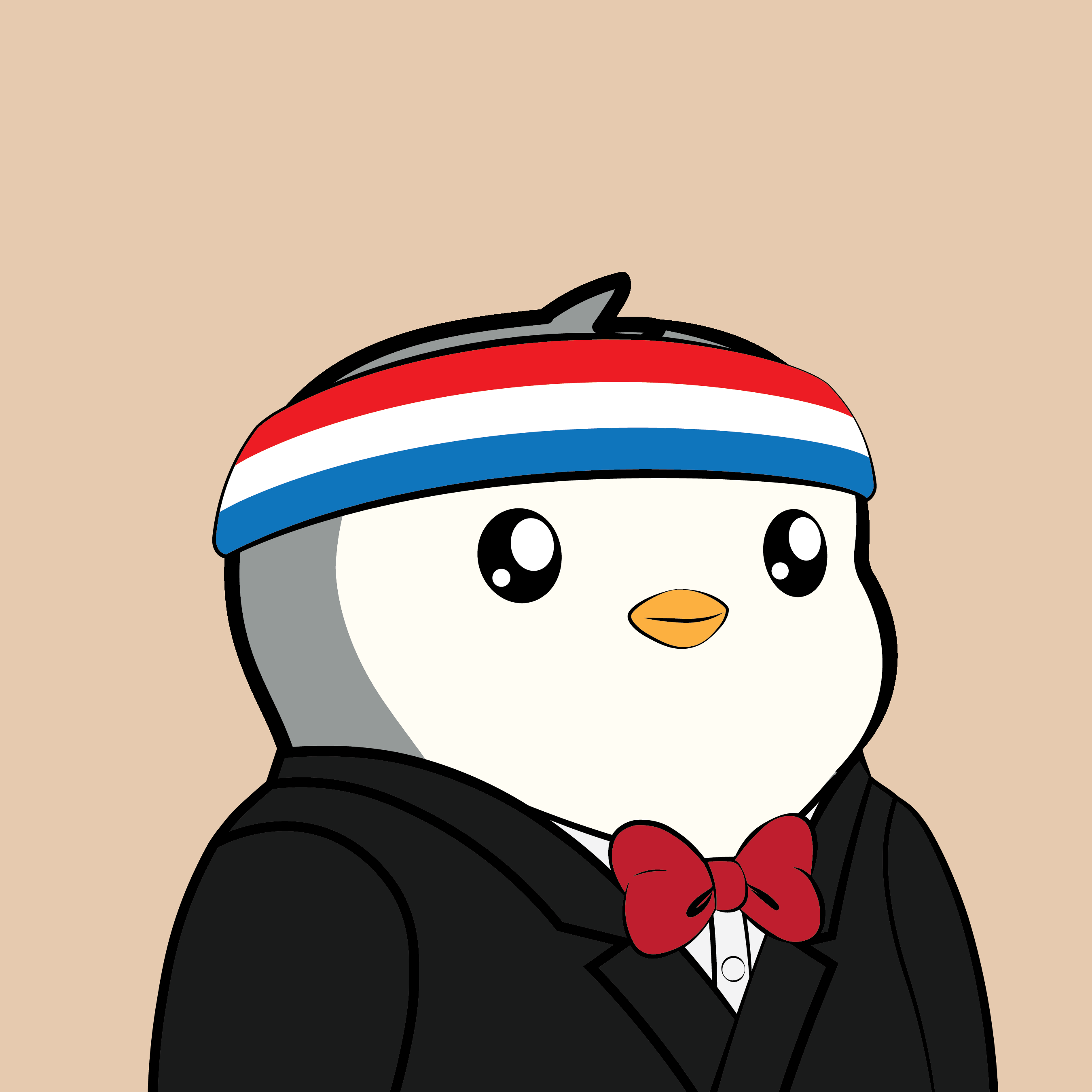 Pudgy Penguin #1234
