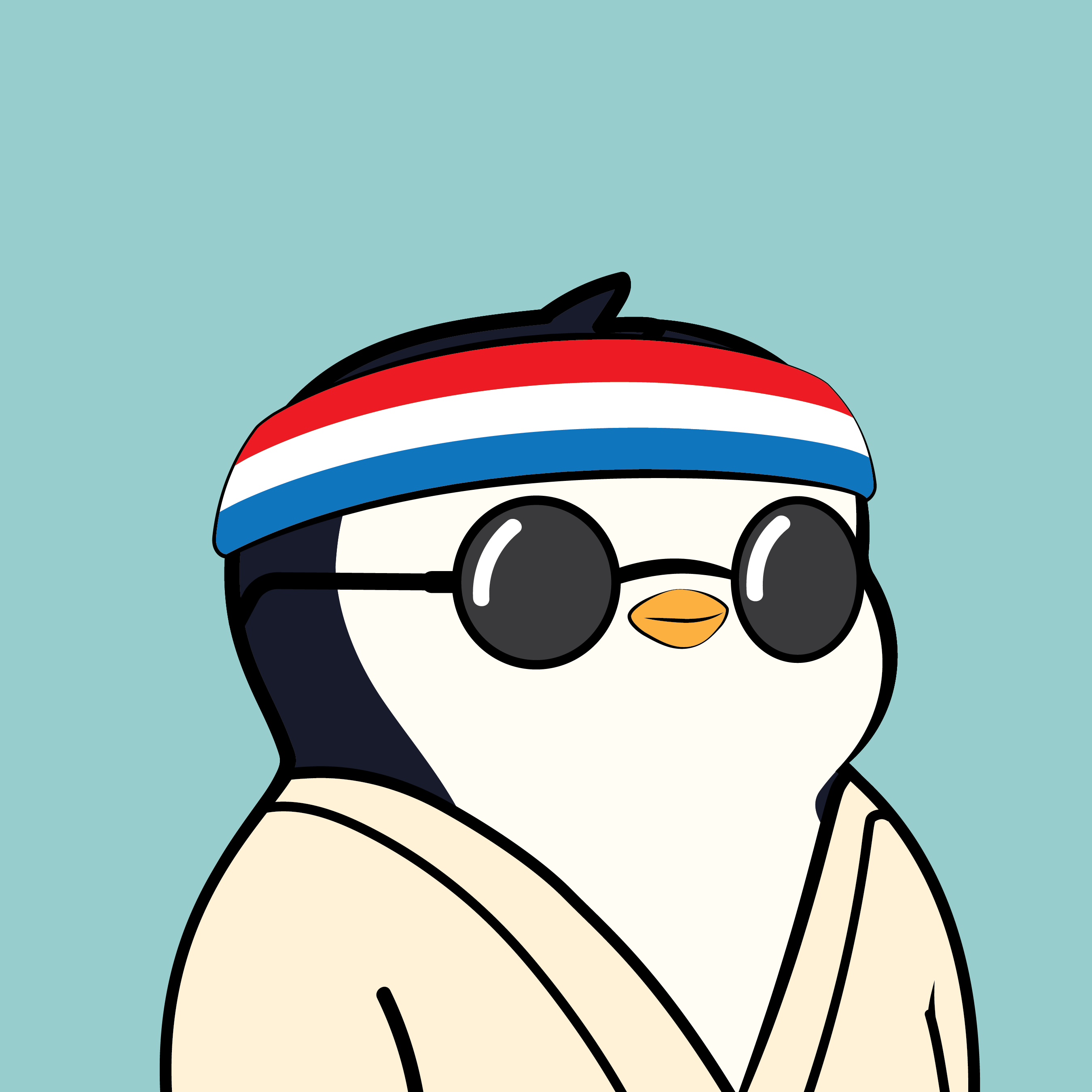 Pudgy Penguin #1612