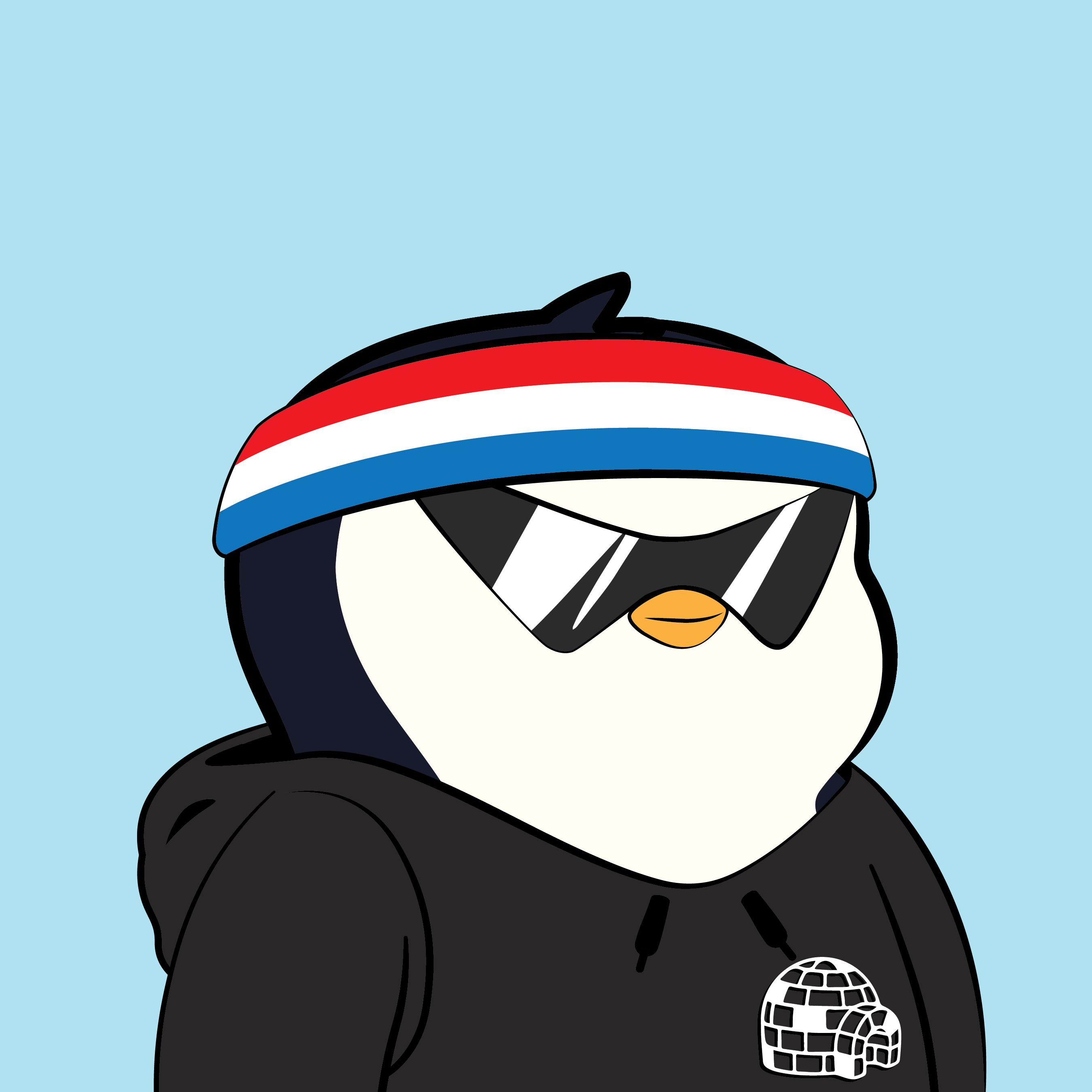 Pudgy Penguin #2074