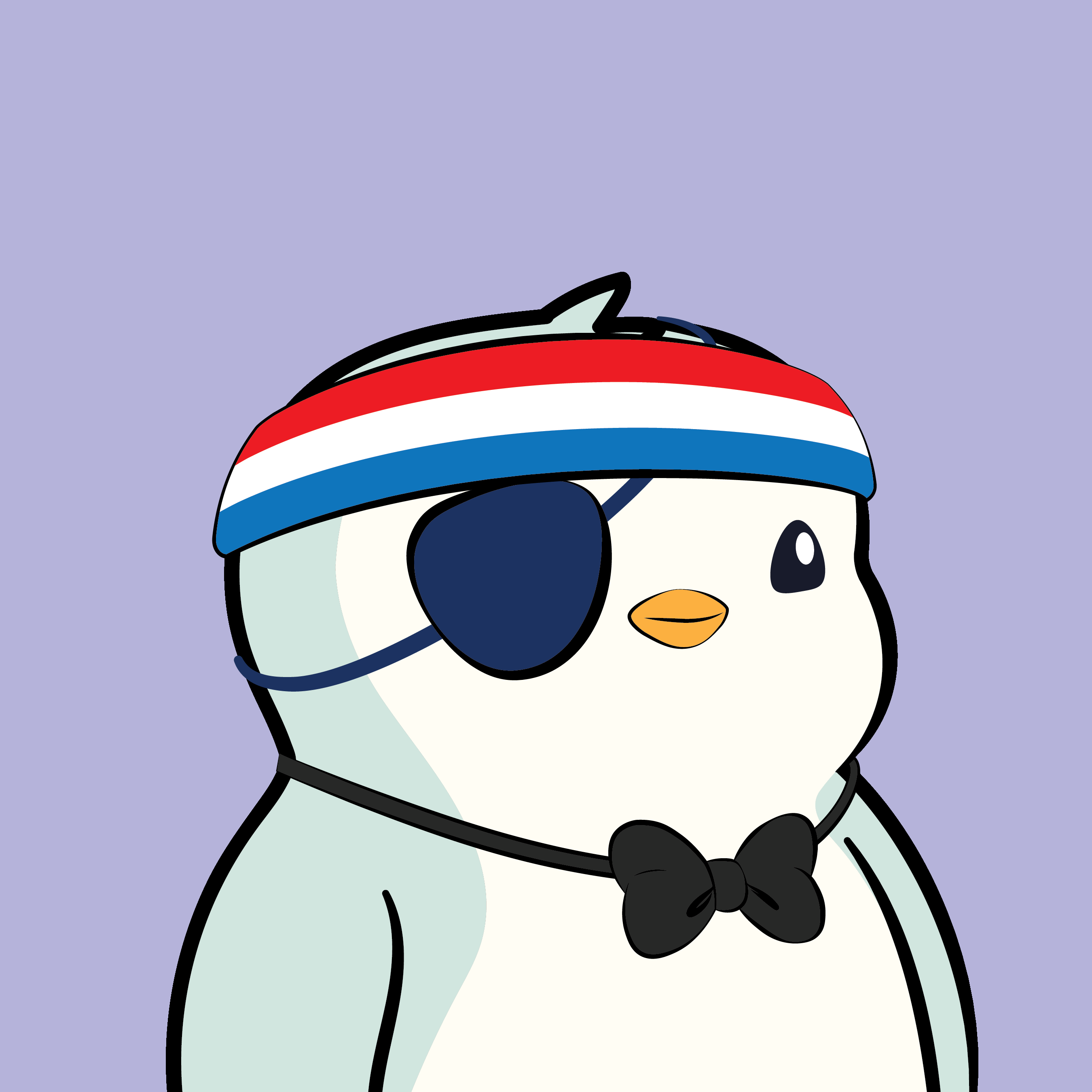 Pudgy Penguin #8876