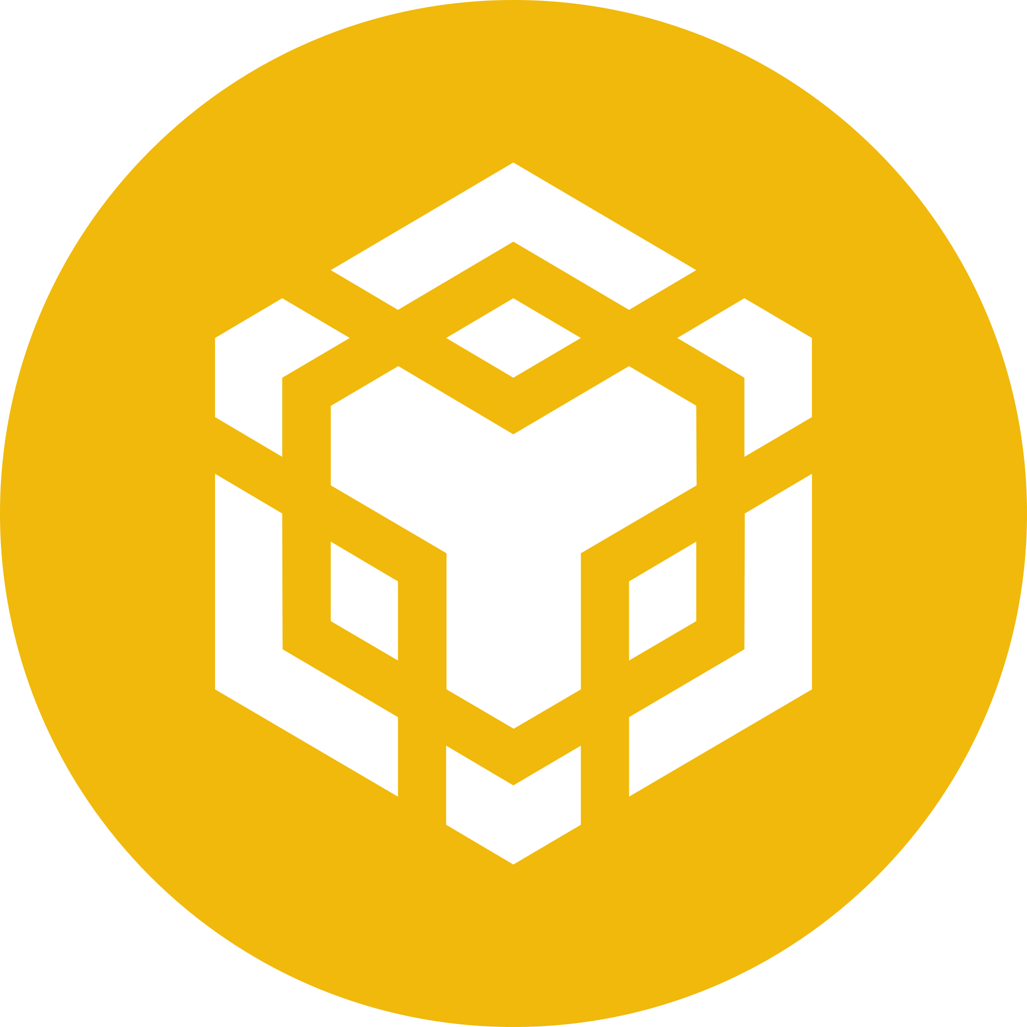 Binance Smart Chain