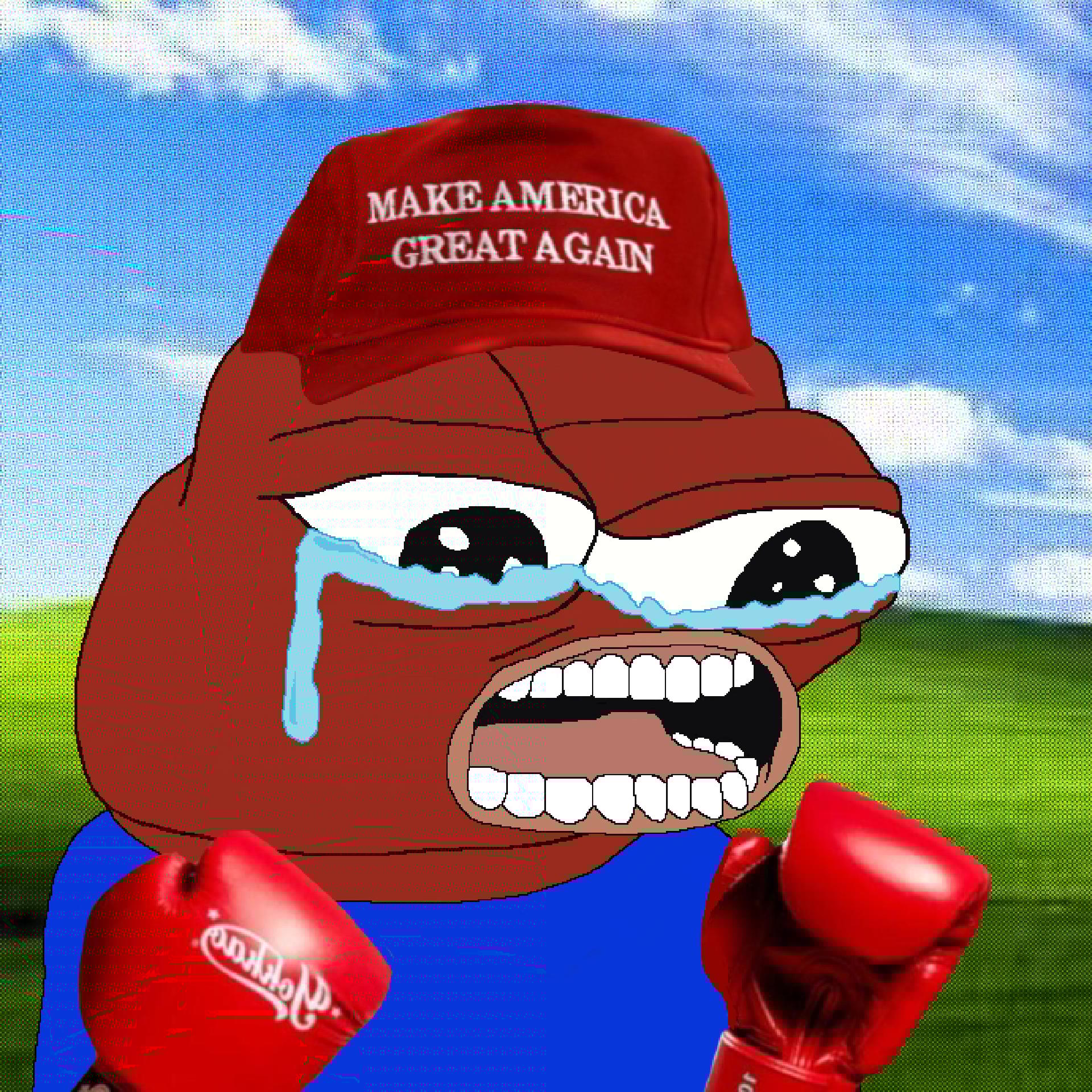 LofiPepe #6678