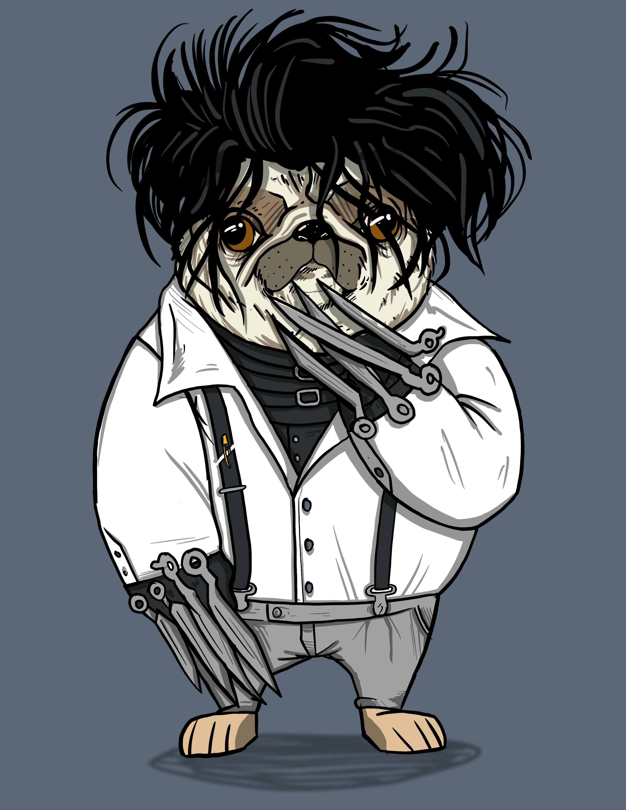 #25 Edward Scissorhands Fancy Pug.