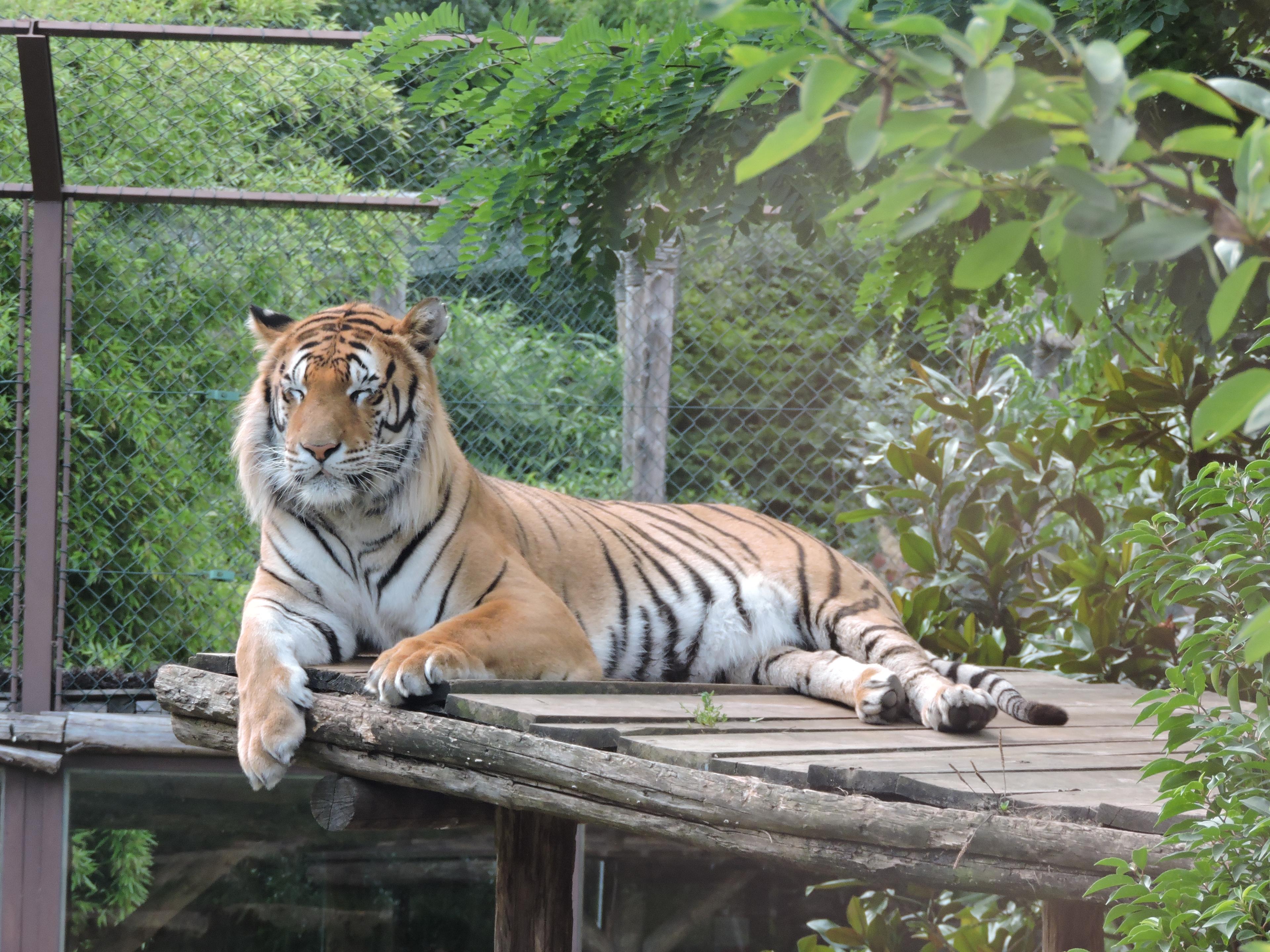 0x3640dfe677b7ef07955375f657ef5d2f45b8bff6