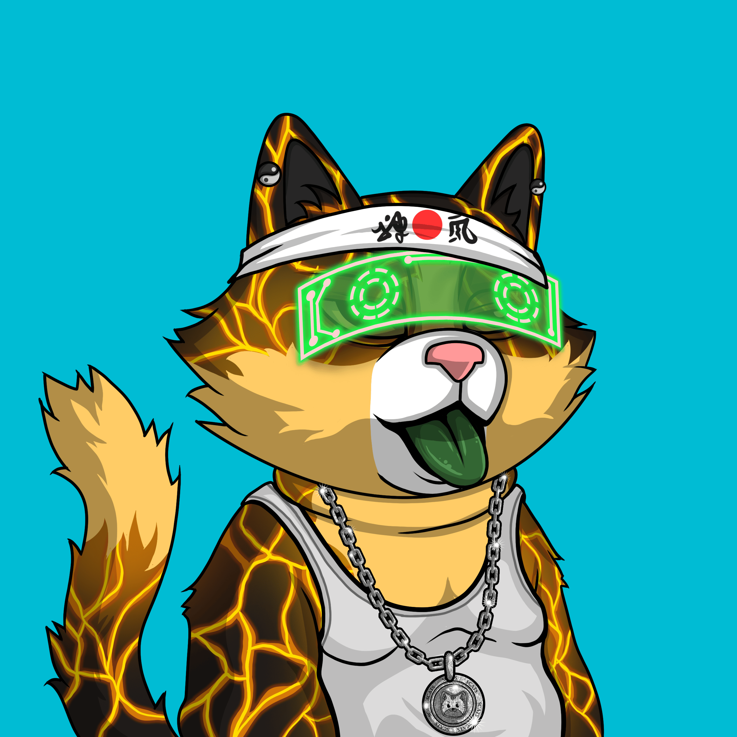 Cat Coin Yatch Club #1013