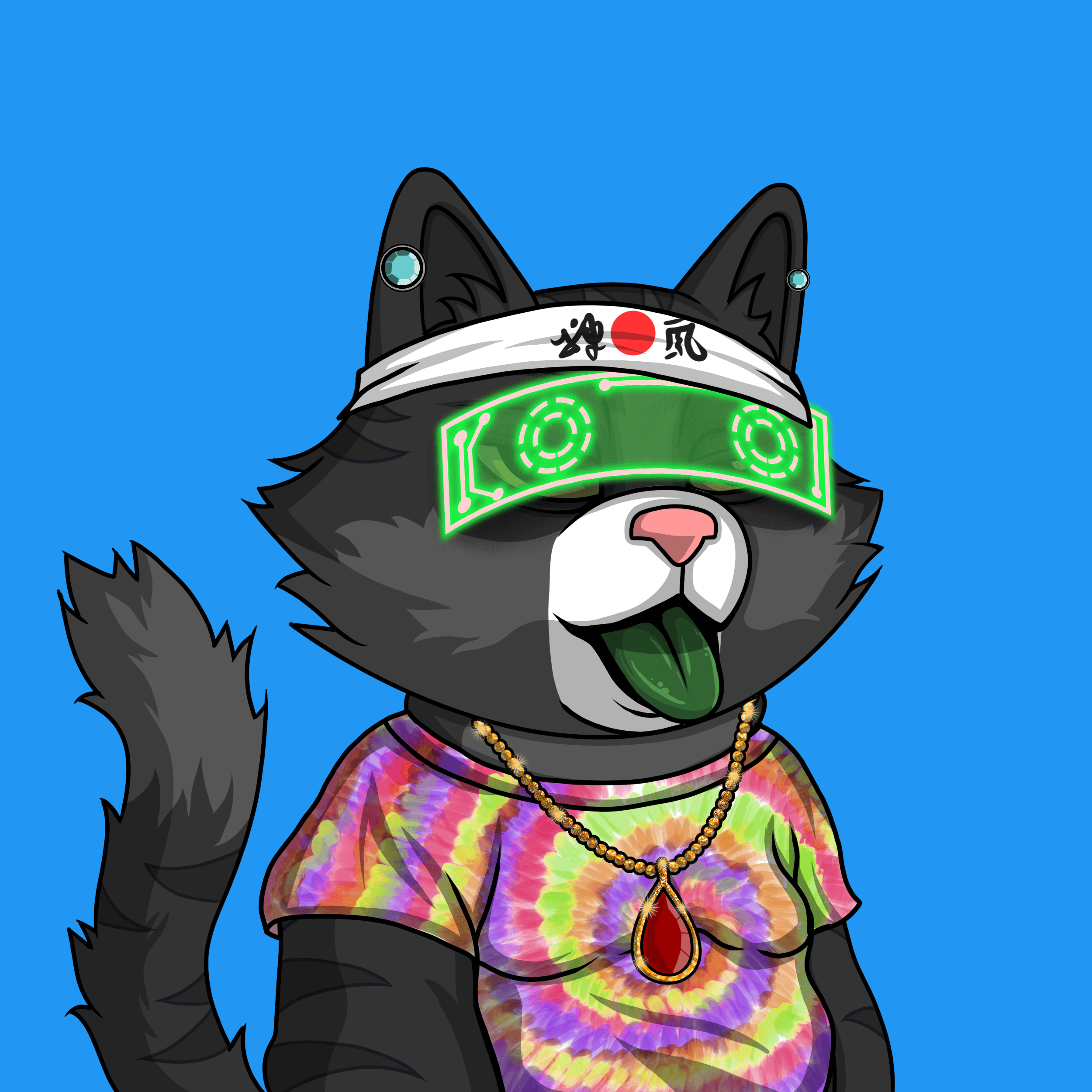 Cat Coin Yatch Club #1064