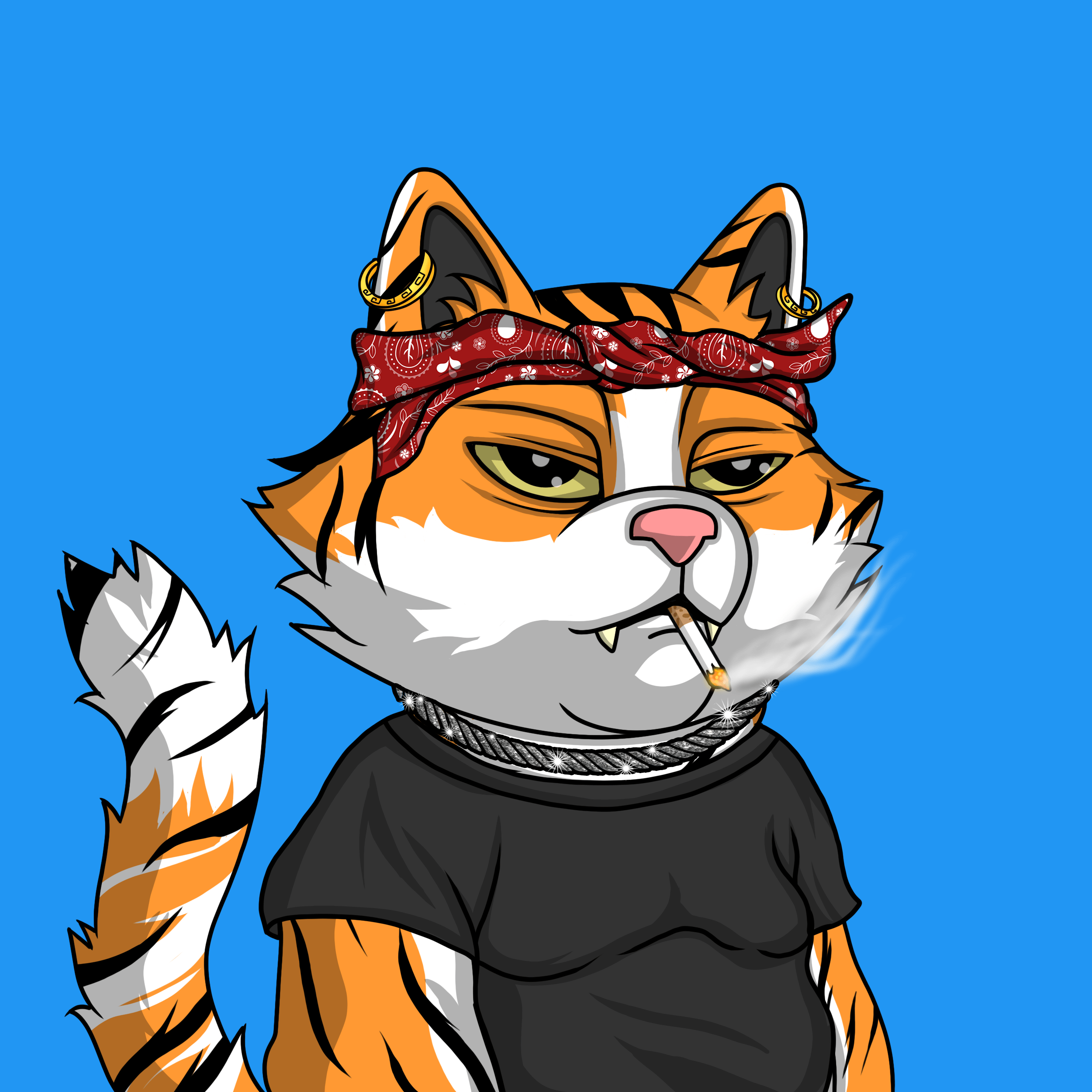 Cat Coin Yatch Club #1211