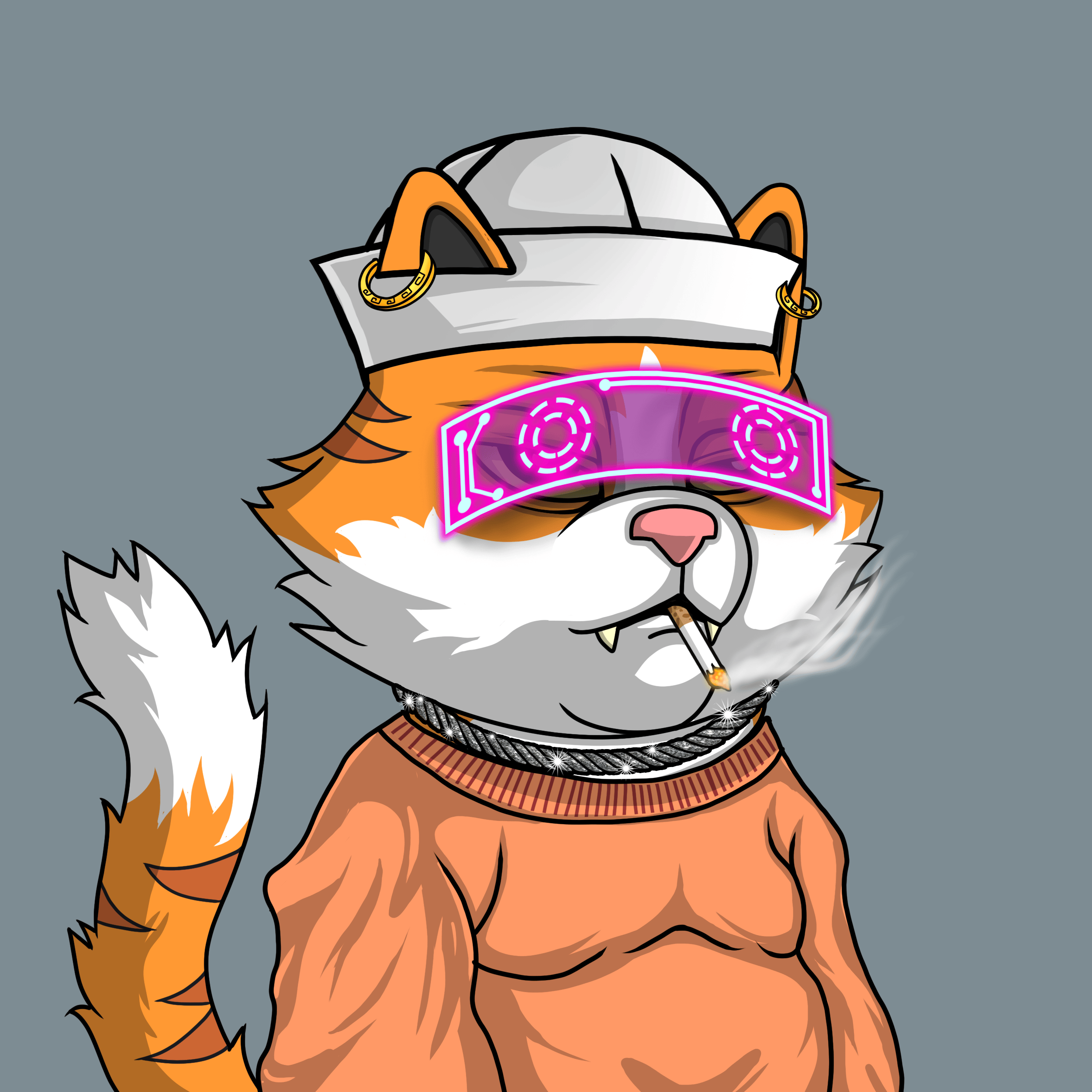 Cat Coin Yatch Club #1227