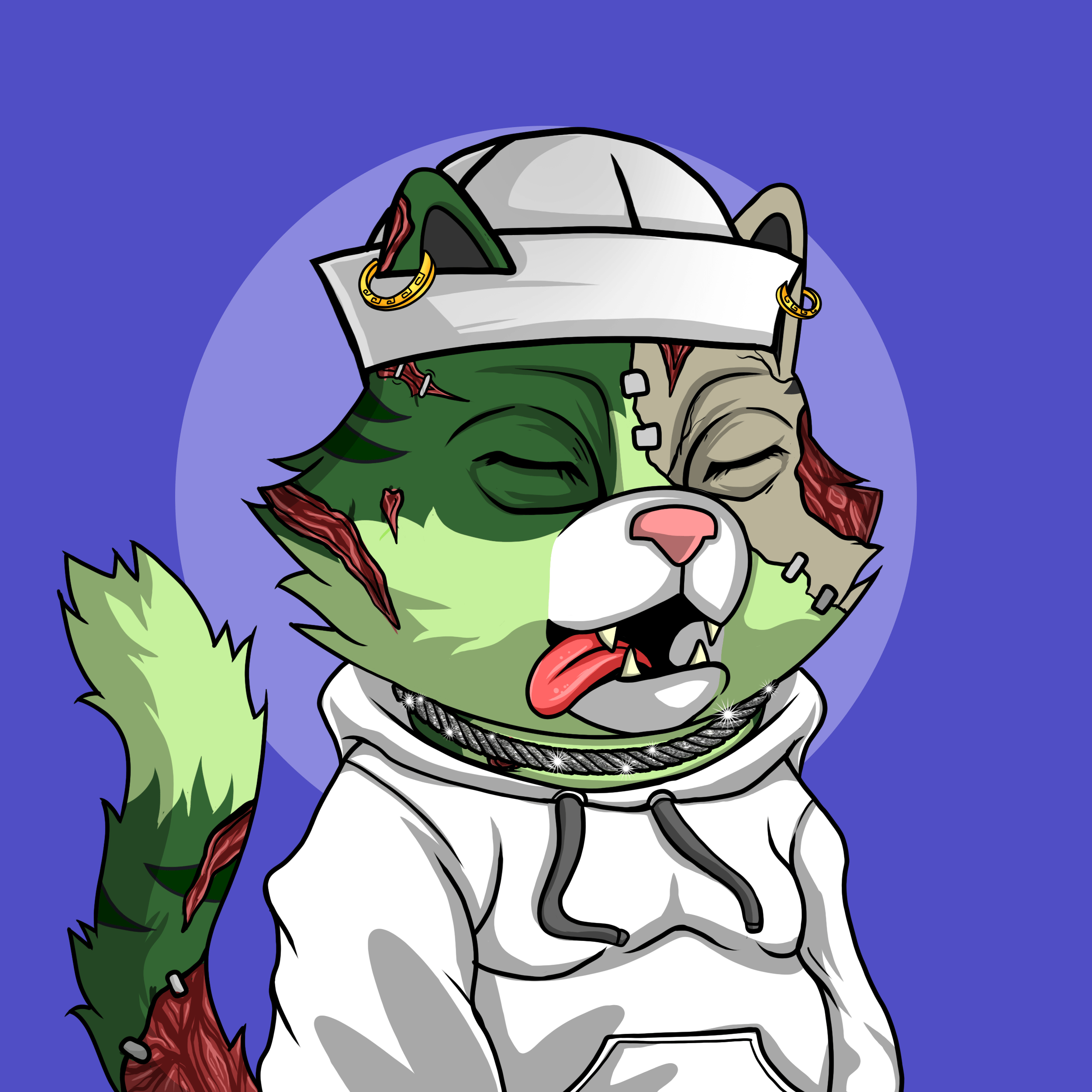 Cat Coin Yatch Club #665