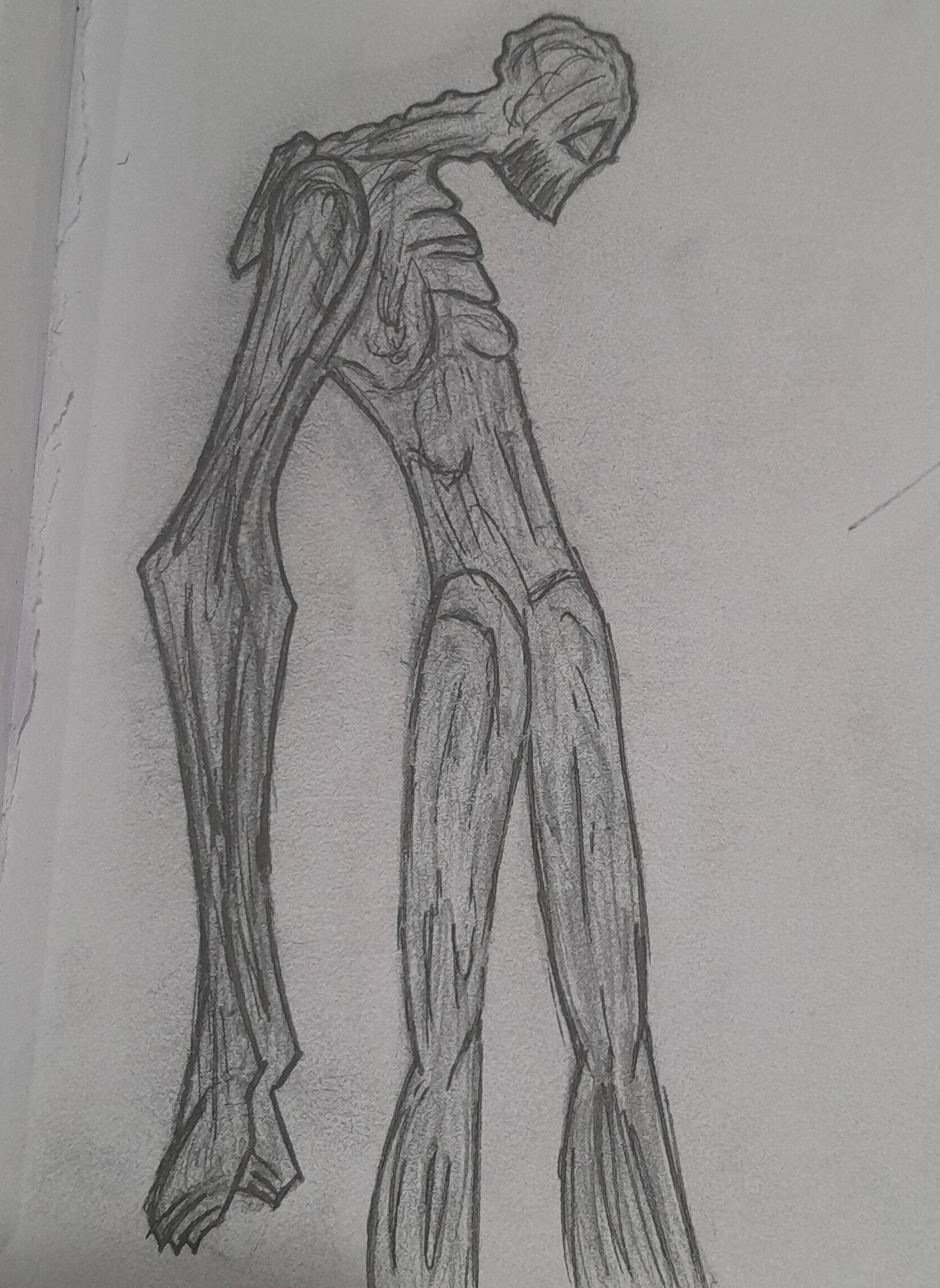 Xavier