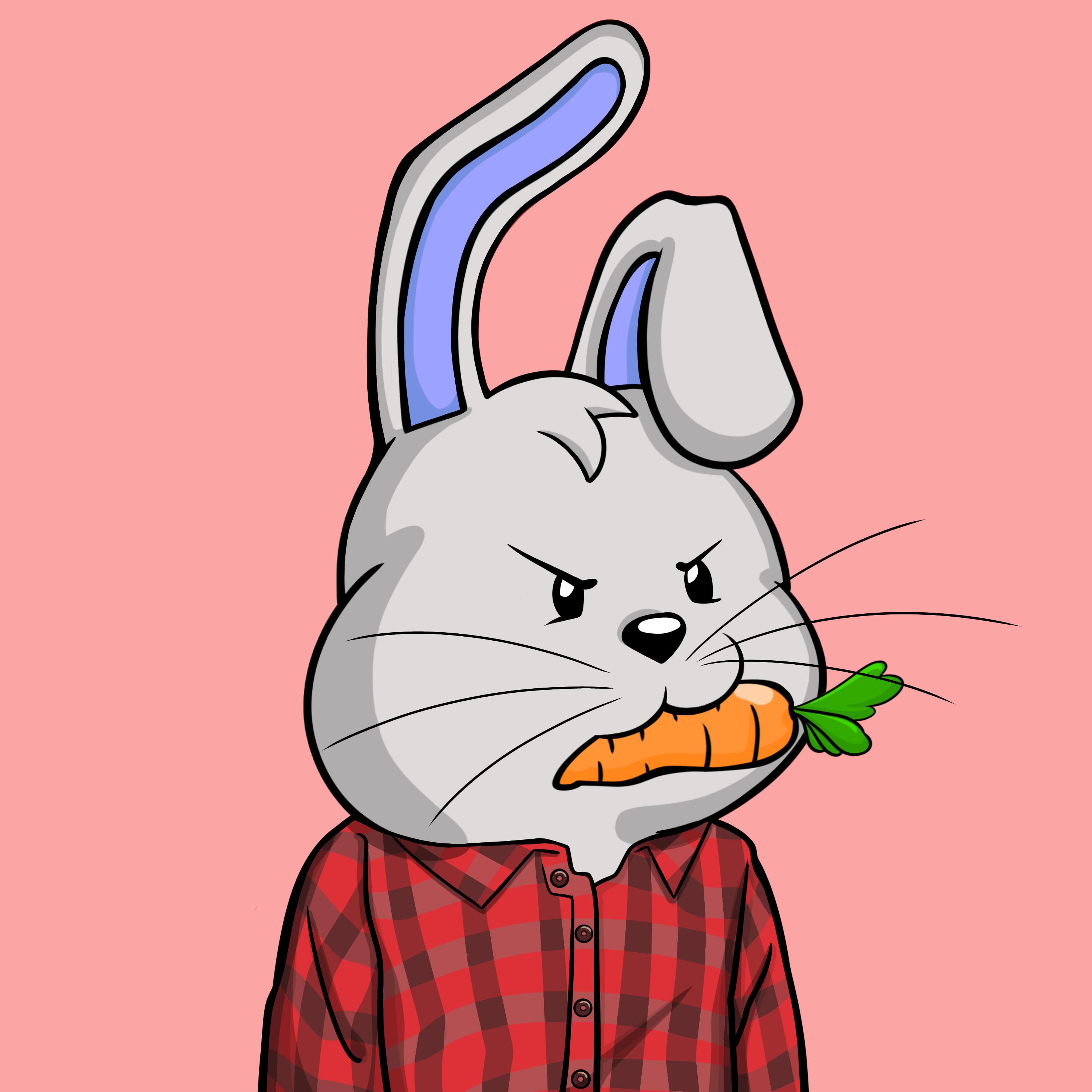 Bunny #5538