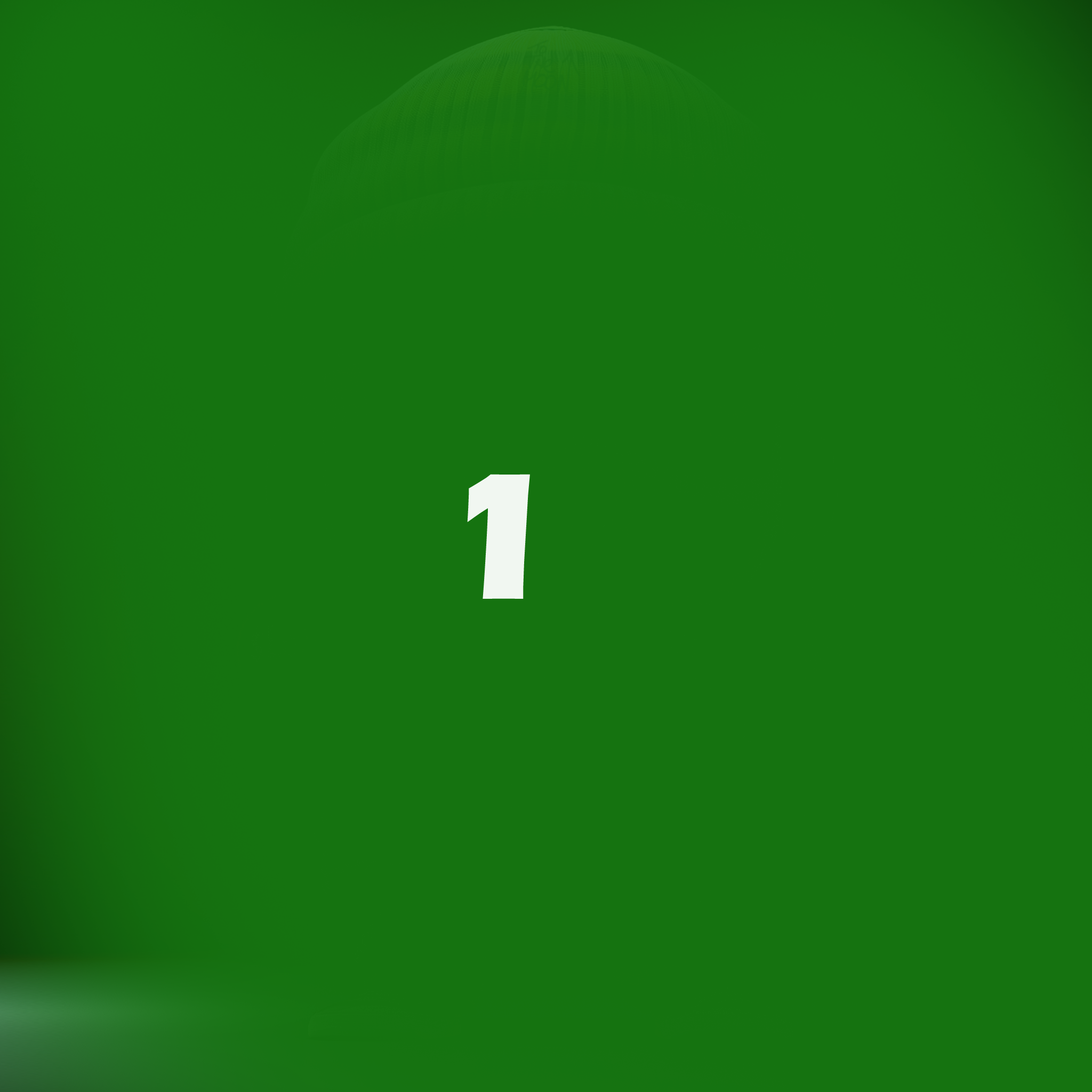 TEST1