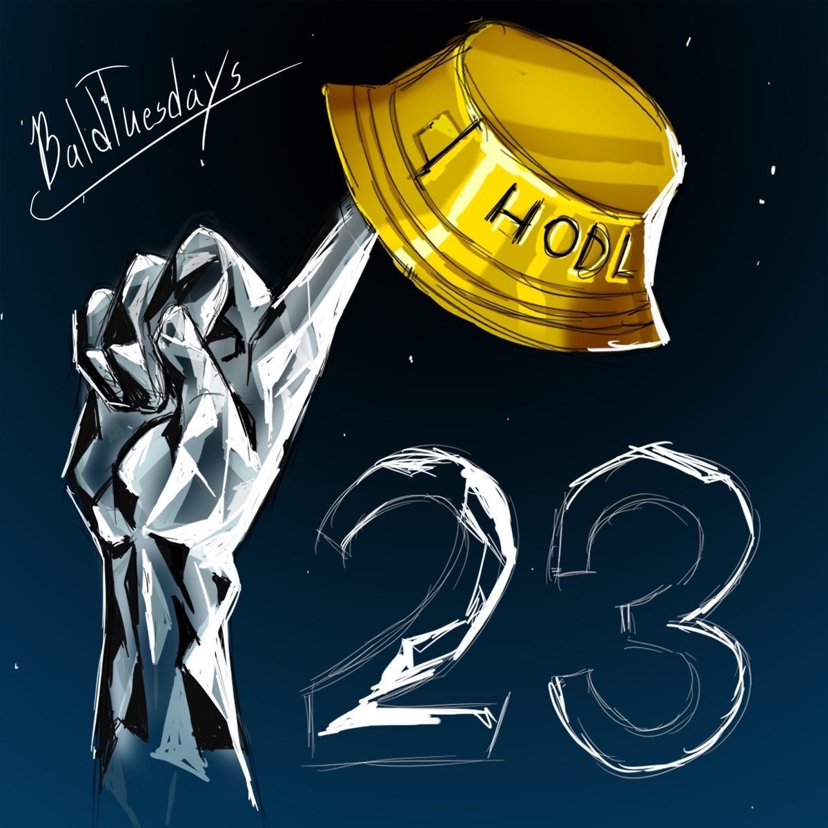 DIAMOND HAND HODLER – by u/BaldTuesdays (BONUS)