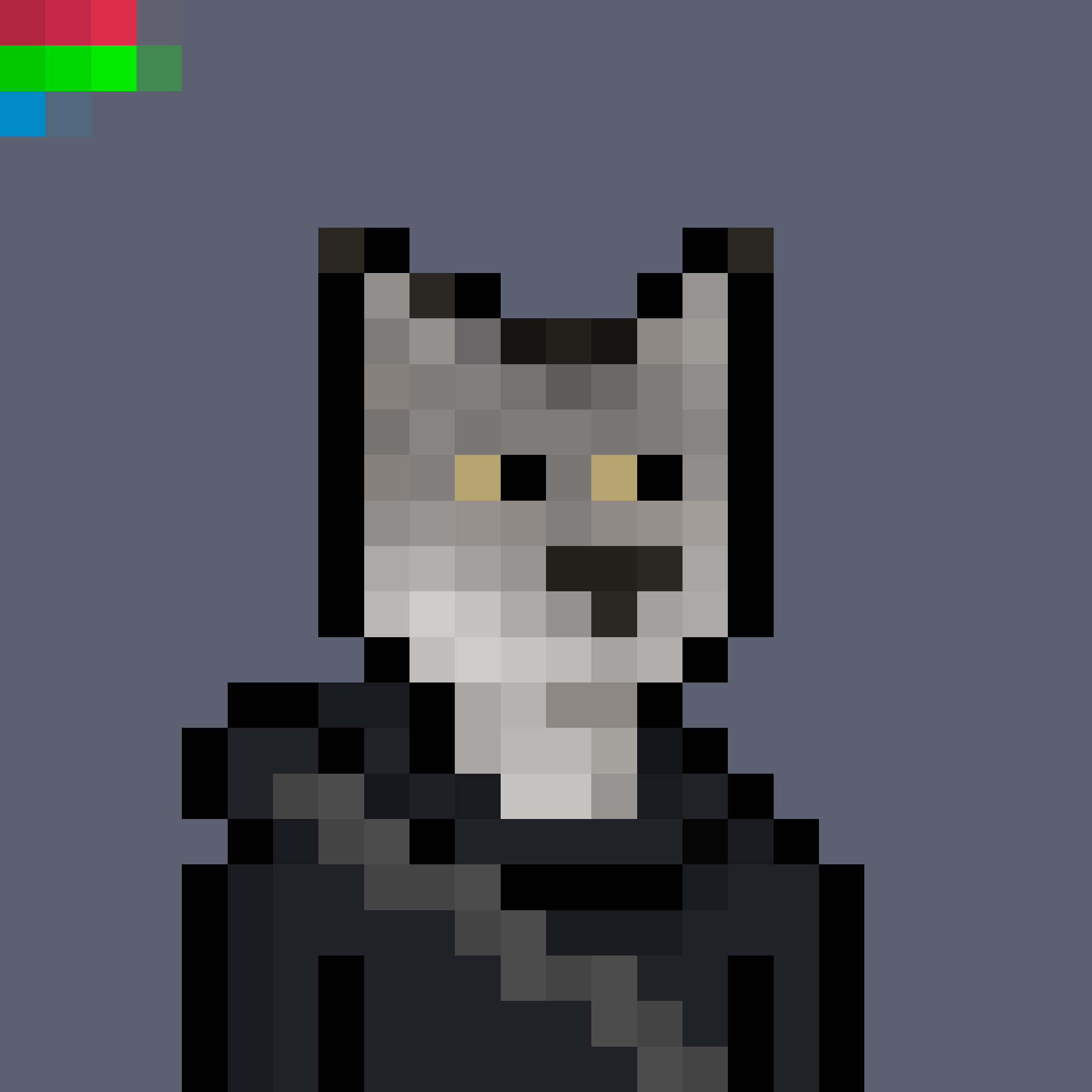 CLOAKS #11070