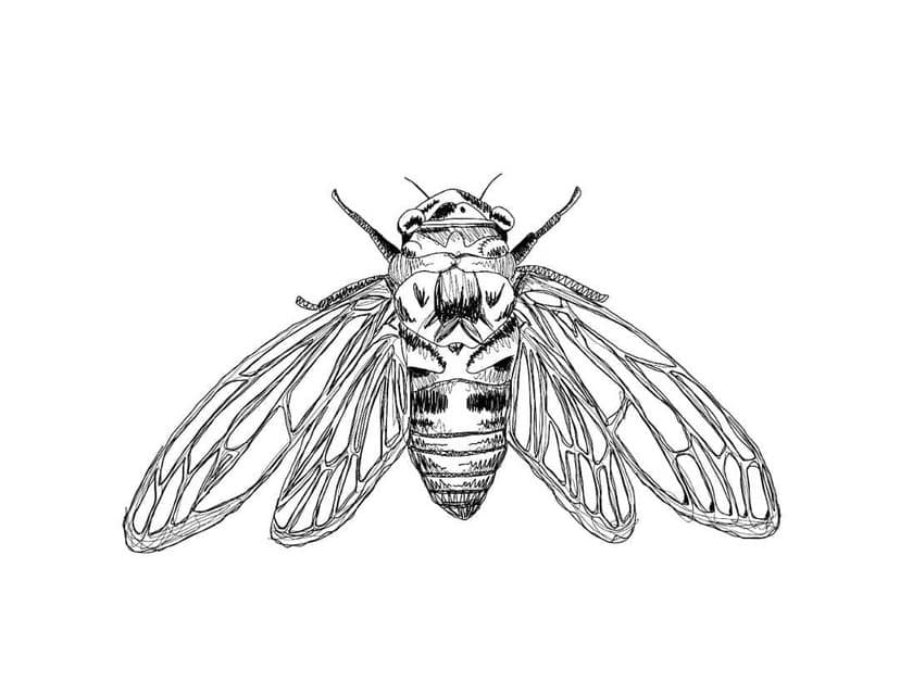 DEMOND IN MY HEAD #4