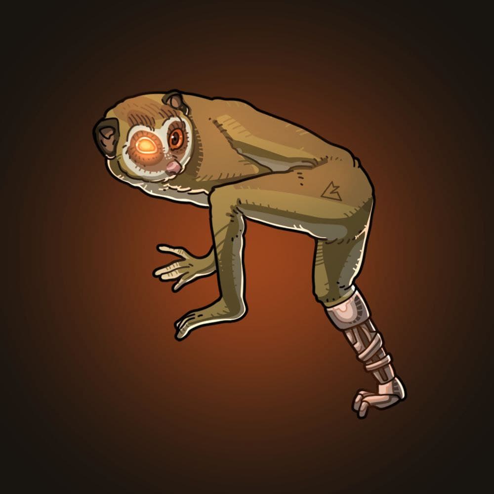 Loris tardigradus