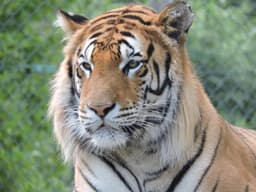 0x3640dfe677b7ef07955375f657ef5d2f45b8bff6