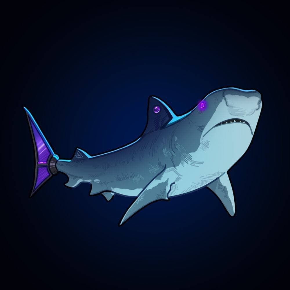 Carcharodon carcharias