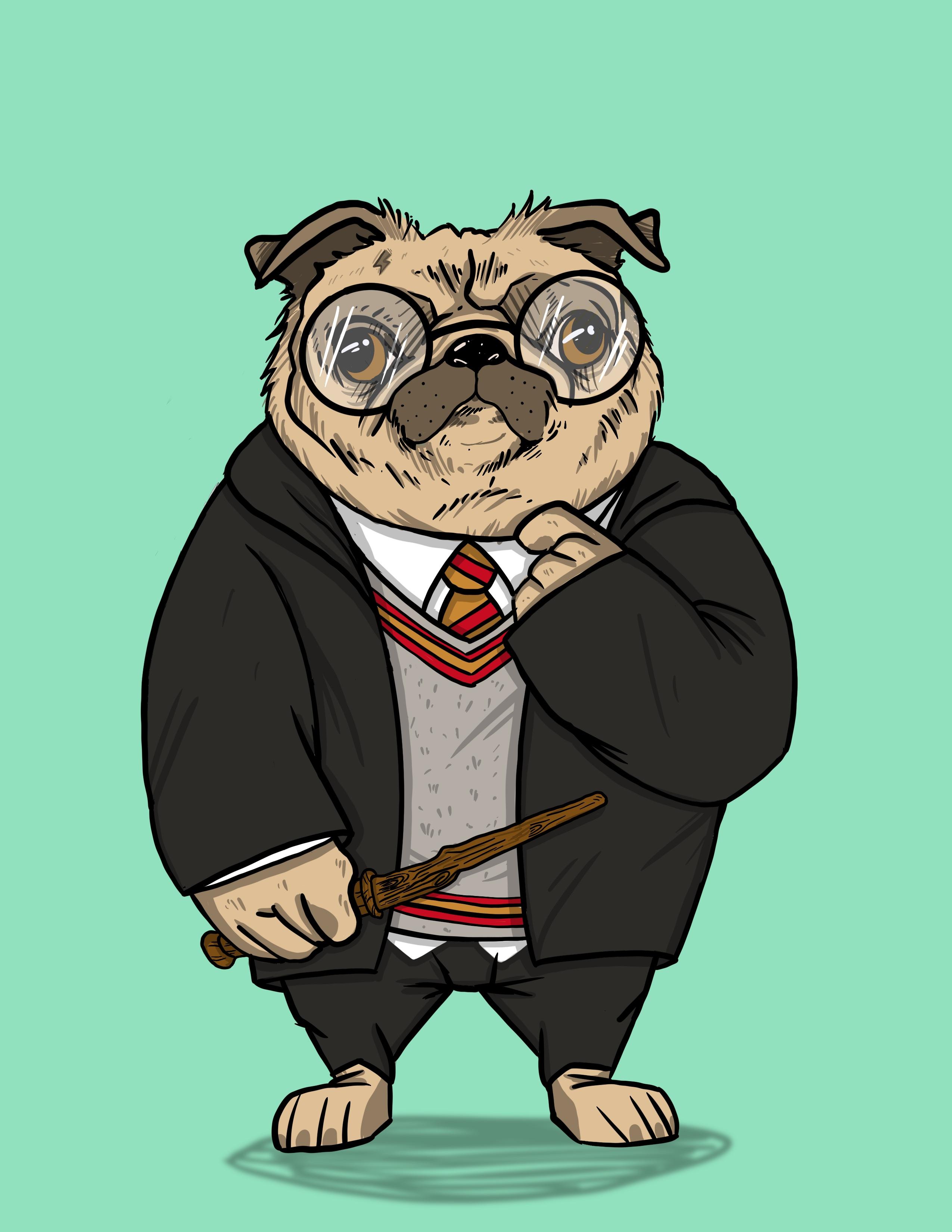 #3 Harry Potter Fancy Pug