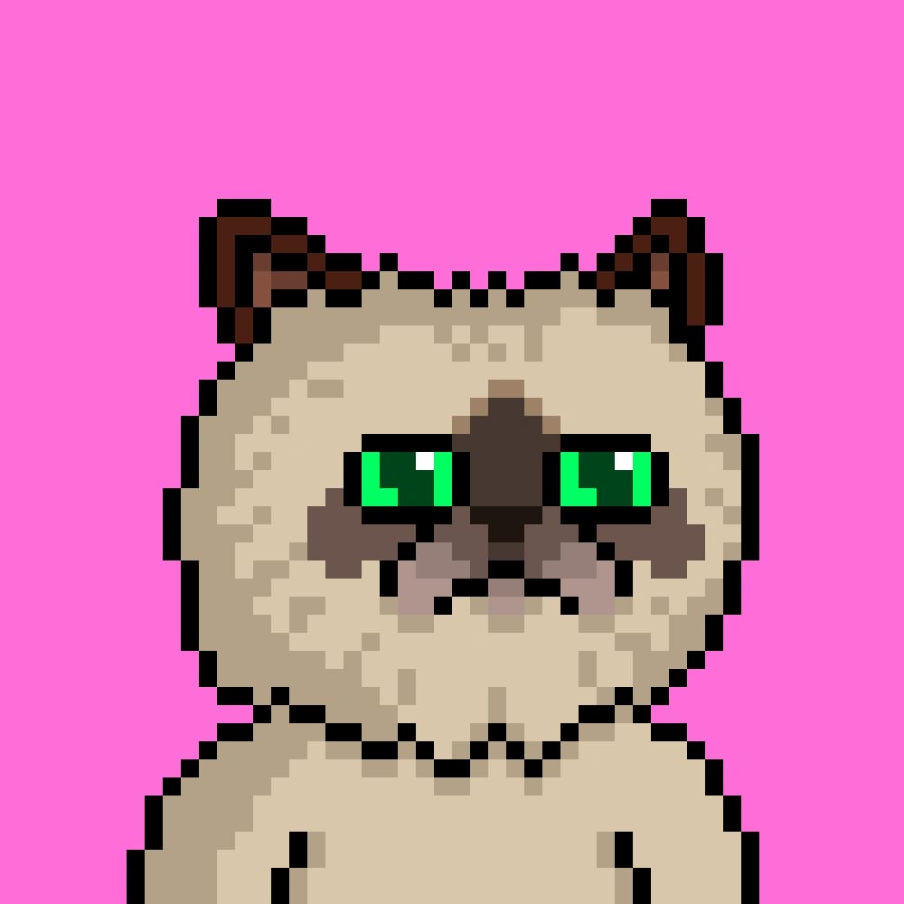 Miggles On Base #9984