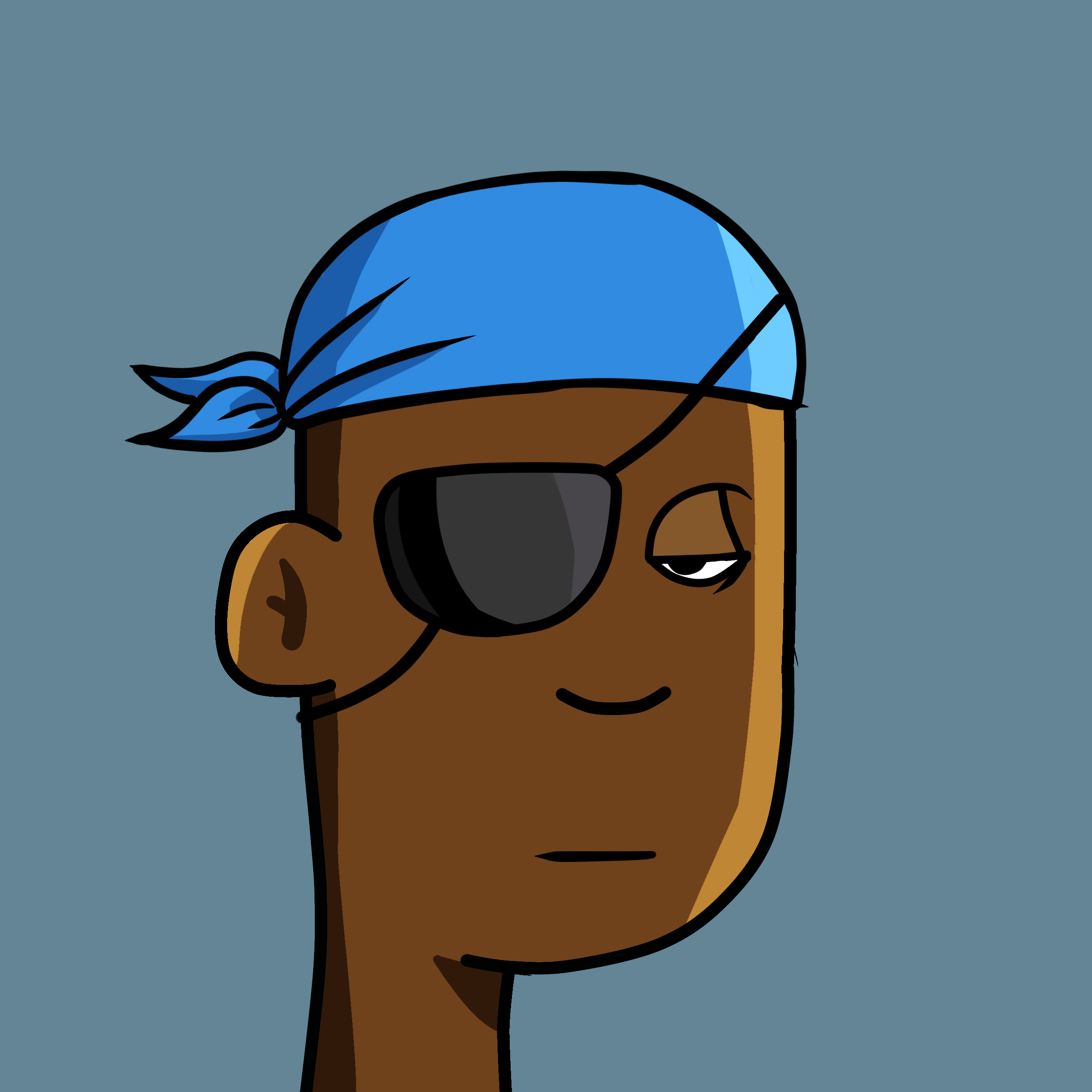 BoringPunk #8209